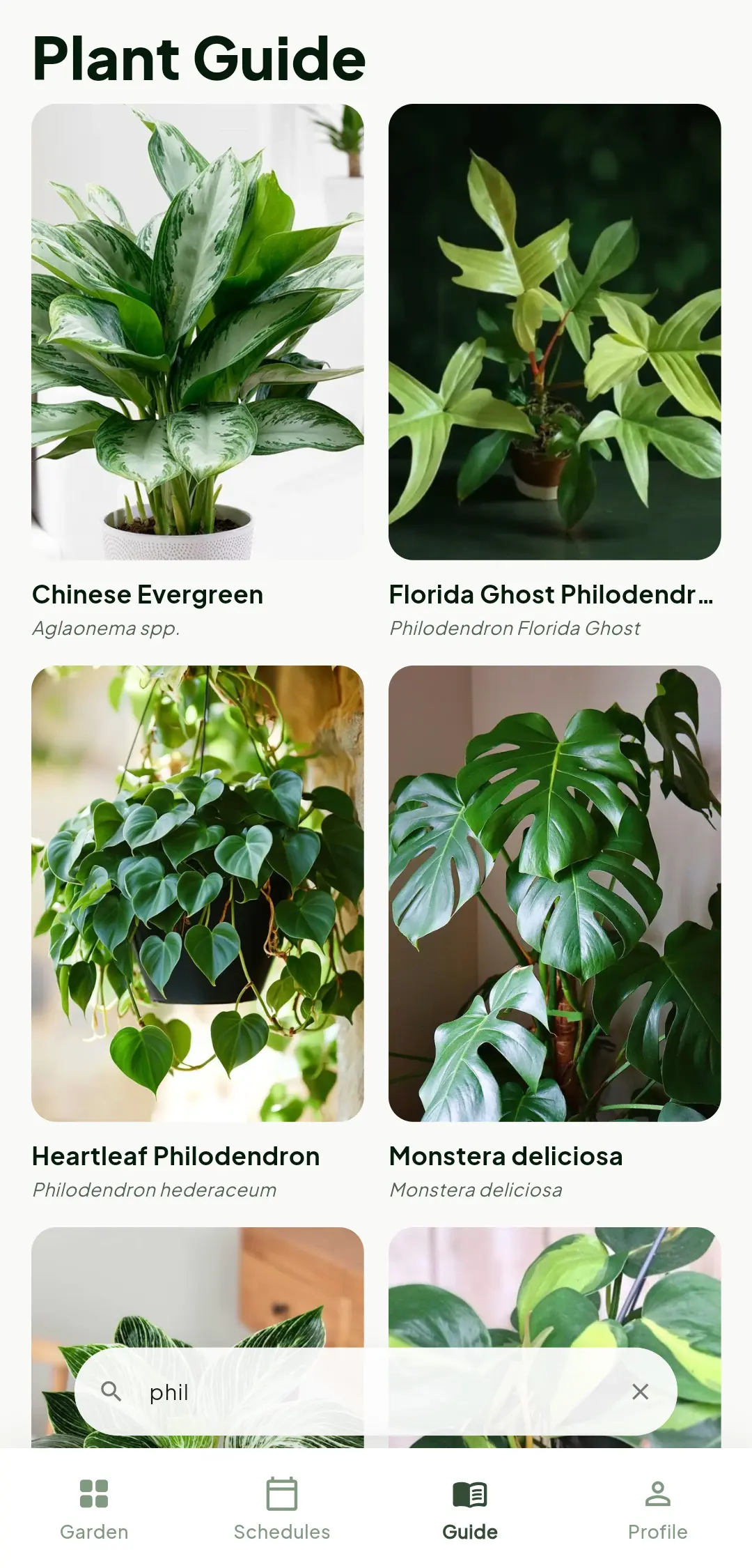 Plant Guide